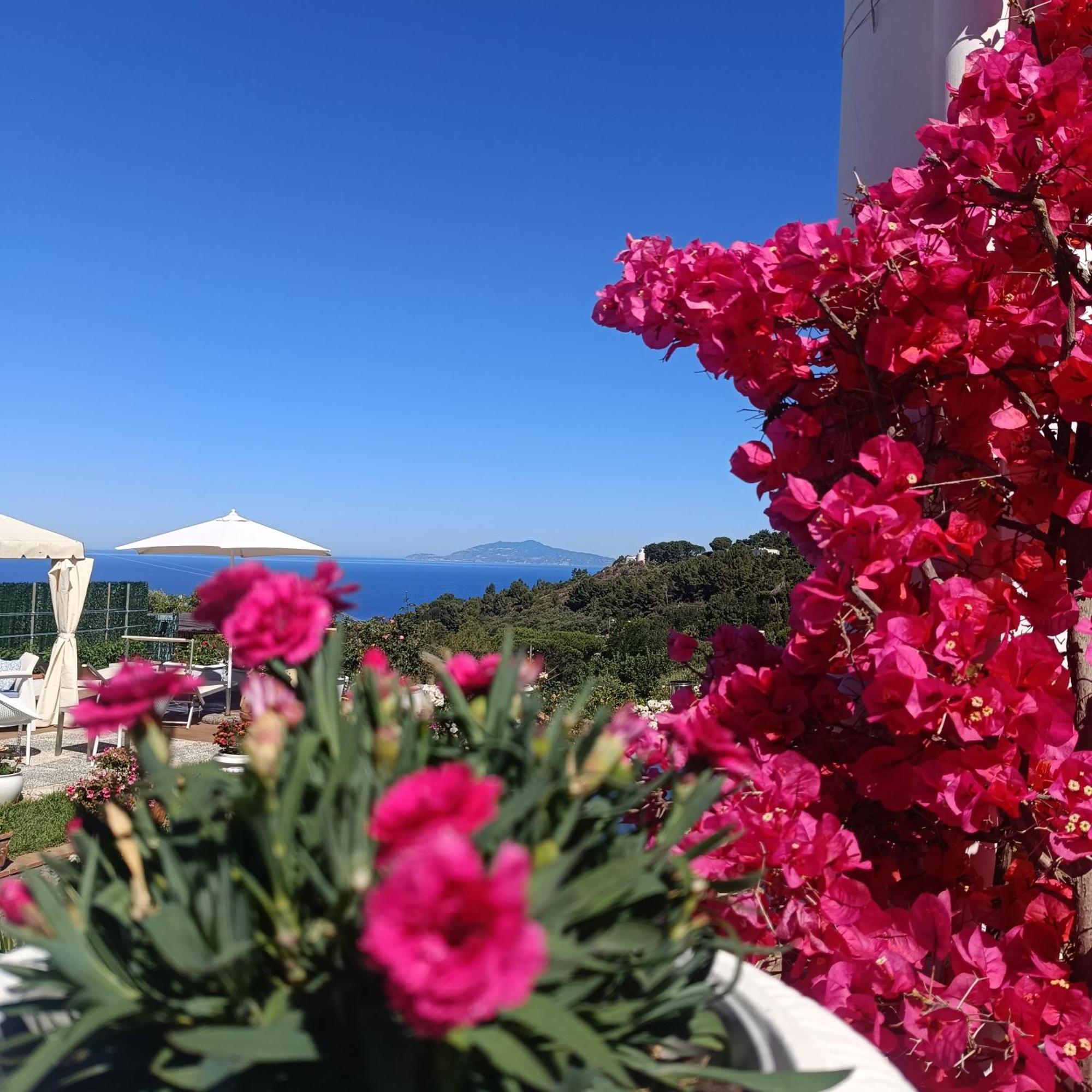 Appartement La Campagnola à Anacapri  Extérieur photo