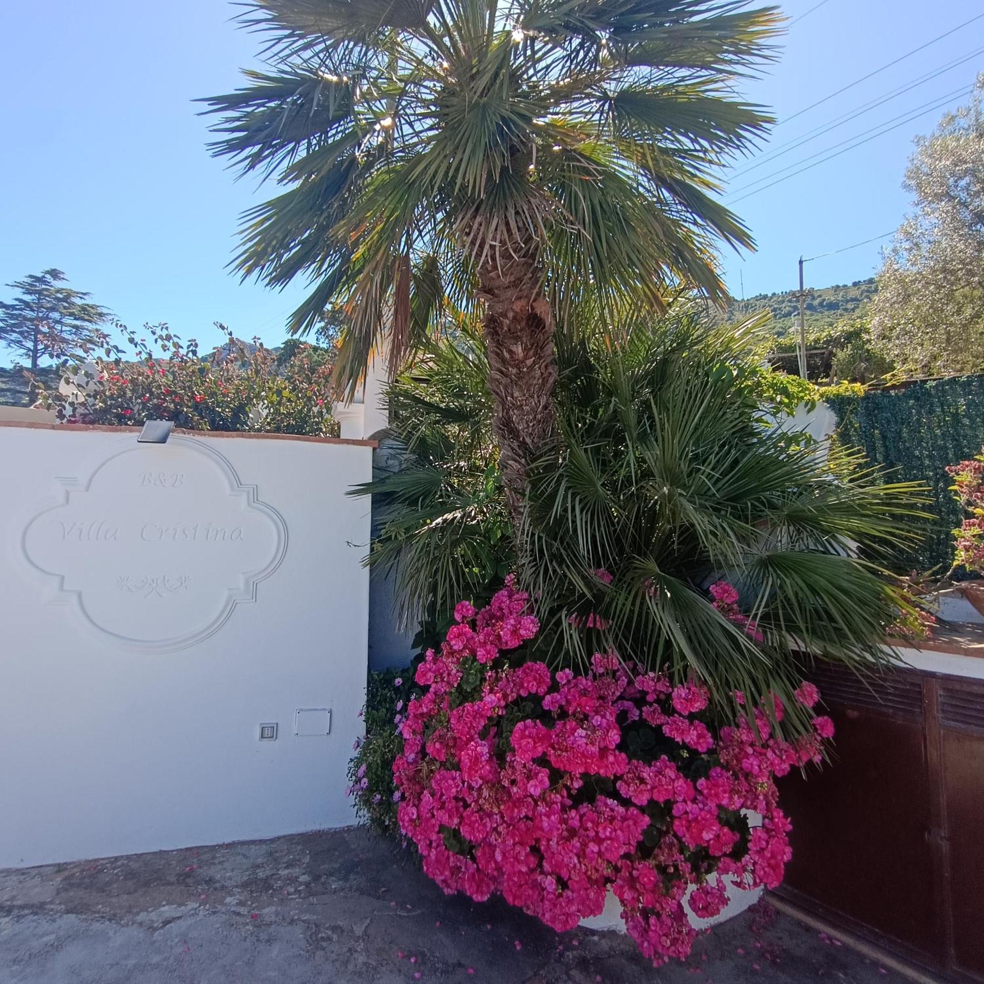 Appartement La Campagnola à Anacapri  Extérieur photo